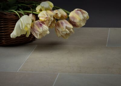 Orgita põrandaplaadid, lihvitud